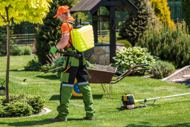 Best Fumigation Services  in Salina, KS